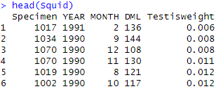 first few rows of squid data