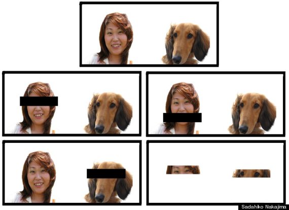 dog owner photos